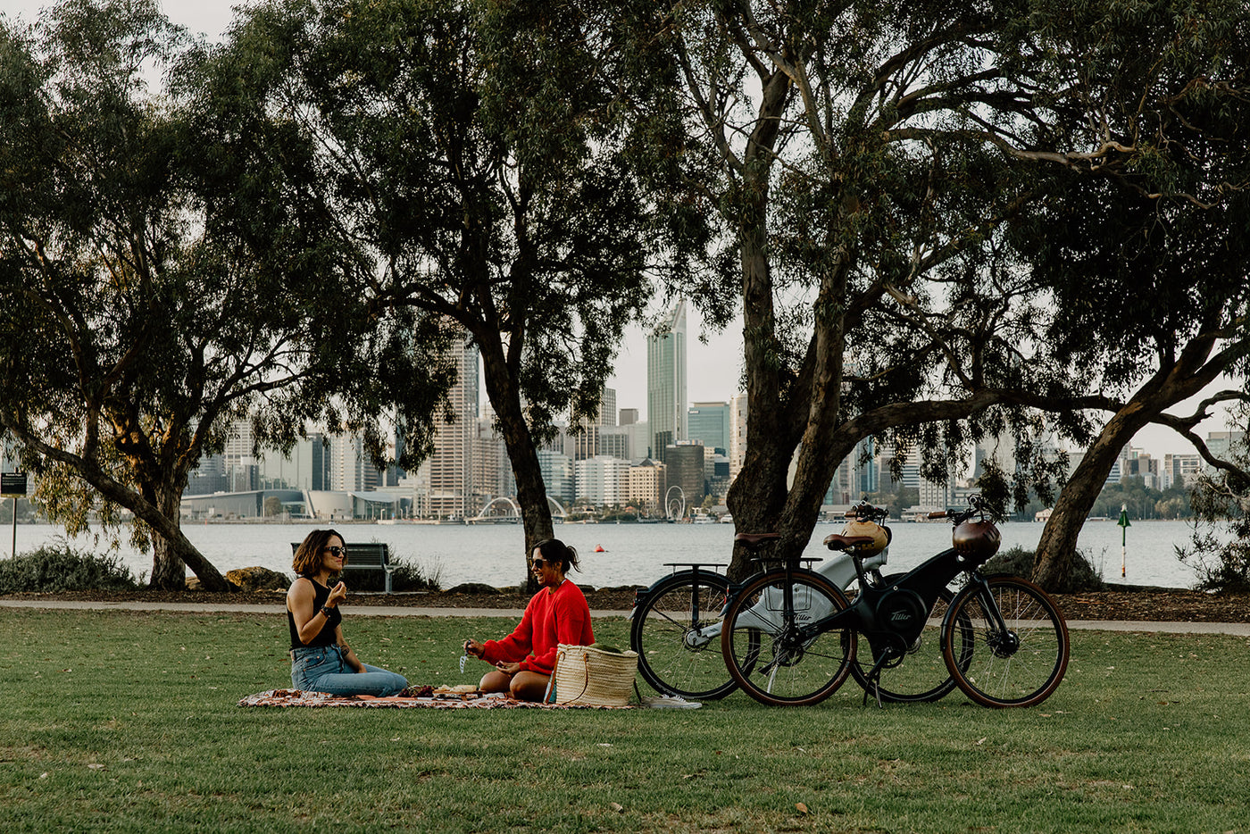Tiller Roadster designer Urban E-bike Lovers picnic pack