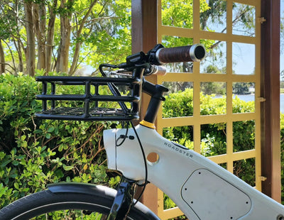 Tiller Roadster Cargo bike, Urban E-bike, Electric bike